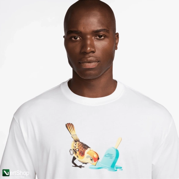 Koszulka Nike Sb Ice Cream T-Shirt