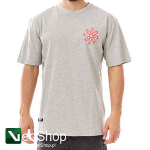 Mass DNM koszulka Fanbox T-shirt szara