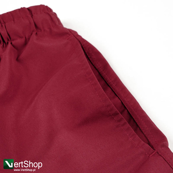szorty Magenta Plant swim shorts burgundy