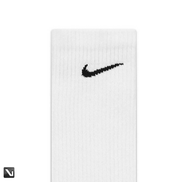 Nike SB Everyday Max Cushioned (6 Pairs)