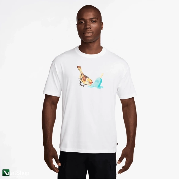 Koszulka Nike Sb Ice Cream T-Shirt